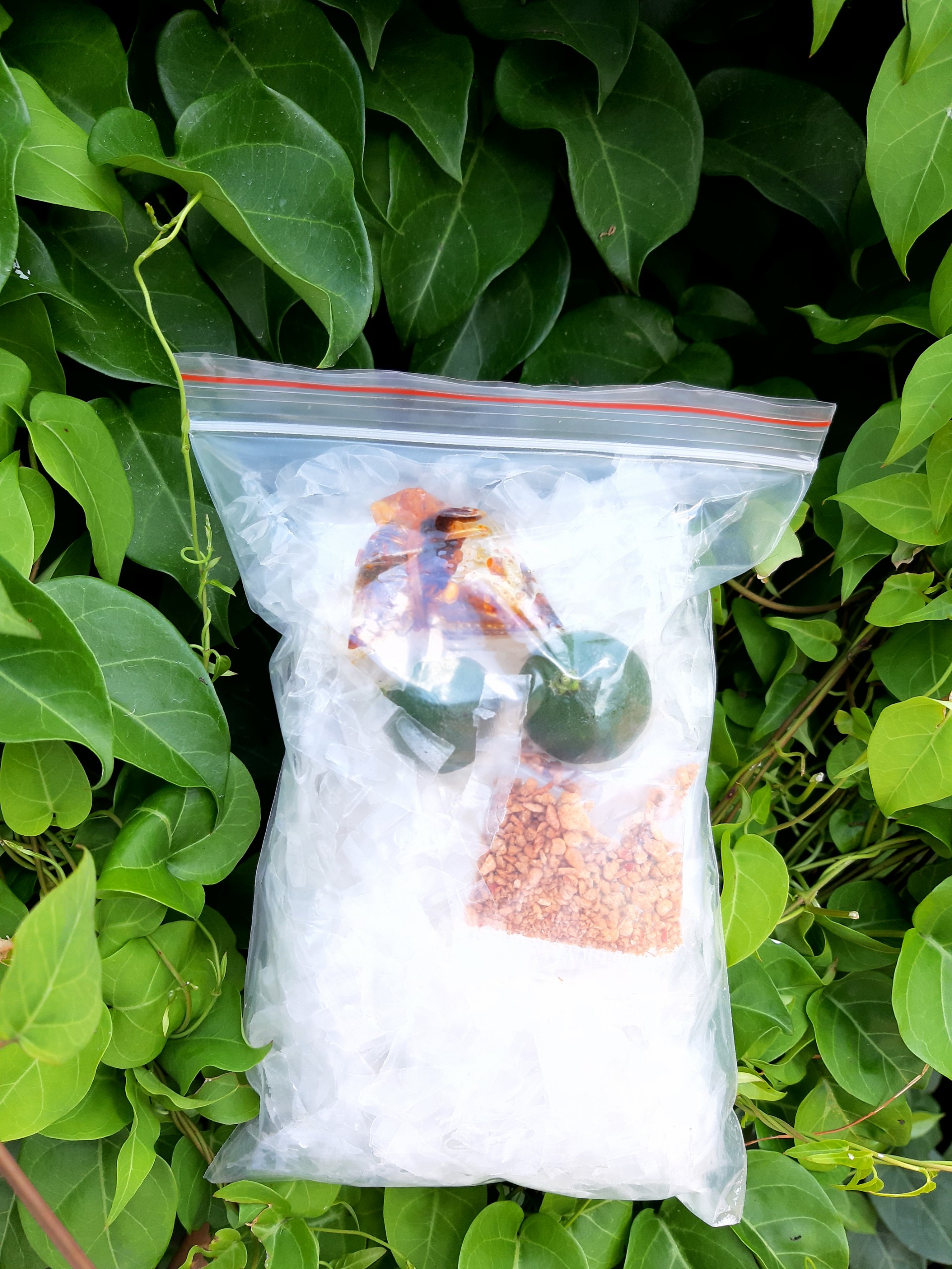 1 bịch bánh sae ớt tắc ngon rẻ( bánh sợi)