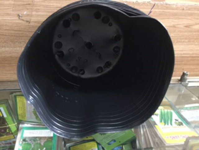 combo 20 chậu đen C10.