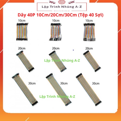 [Lập Trình Nhúng A-Z] Dây 40P 10Cm/20Cm/30Cm (Tệp 40 Sợi)