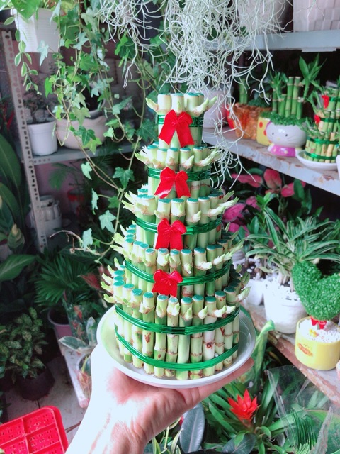 Phát Tài 5 Tầng