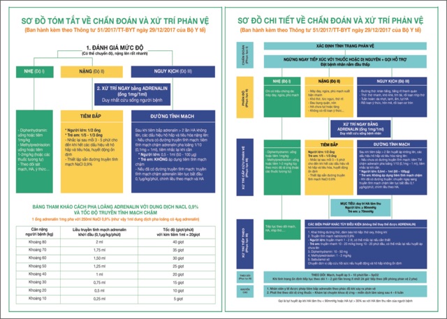 Tranh Phác Đồ Sơ Cứu Bản 2 phác đồ 1 Tờ