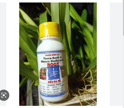 Phân bón - Siêu ra rễ terra-sorb 4 macro radicular grow more 100ml