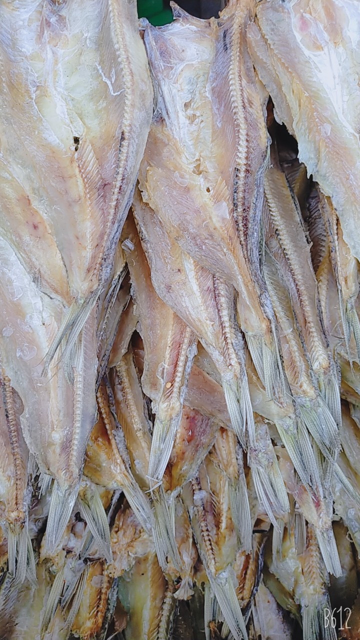 Khô cá mối size lớn 1kg