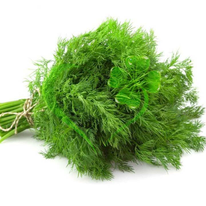 Hạt giống rau thì là - gói 5 gram