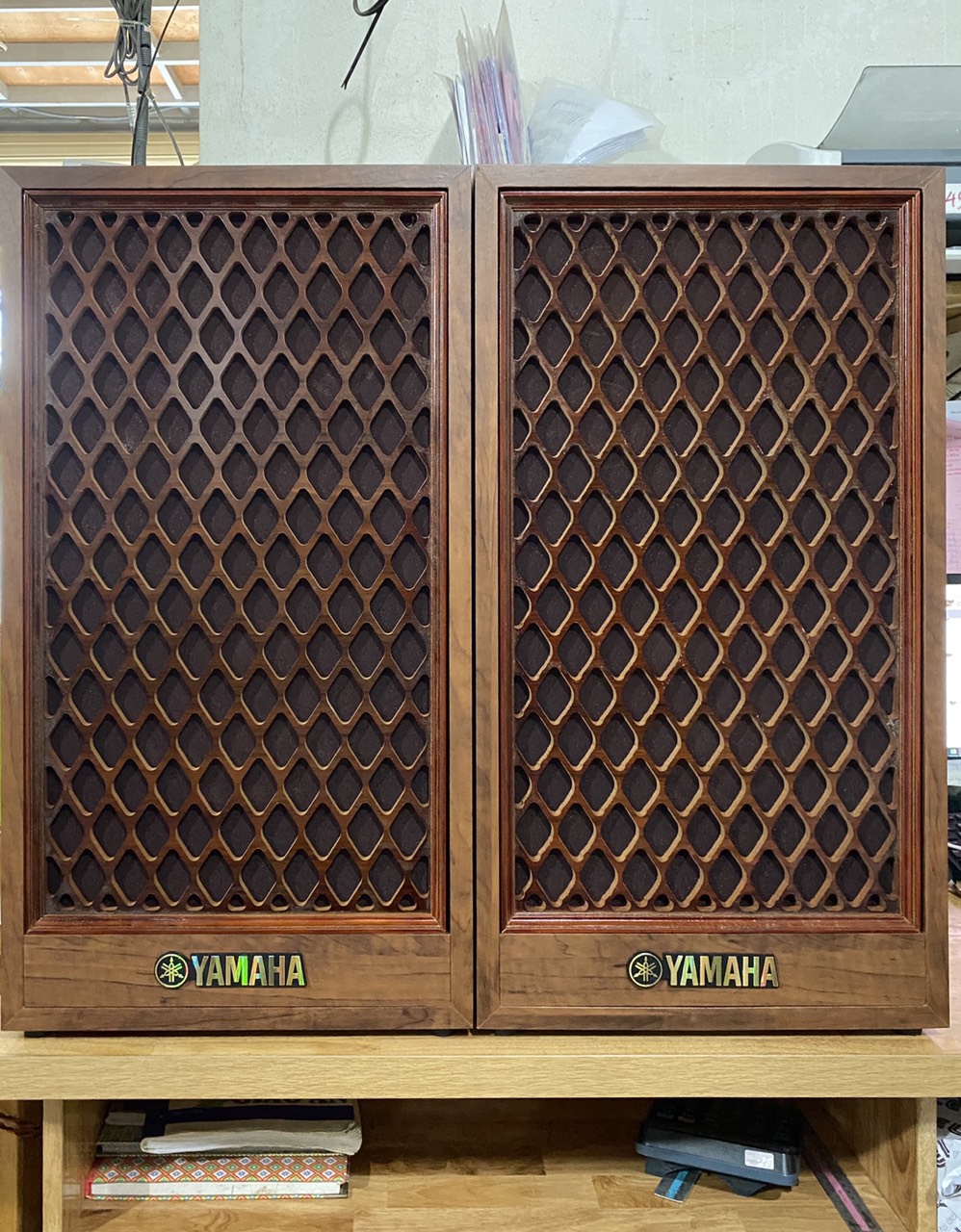 Loa karaoke và nghe nhạc CS - 88S