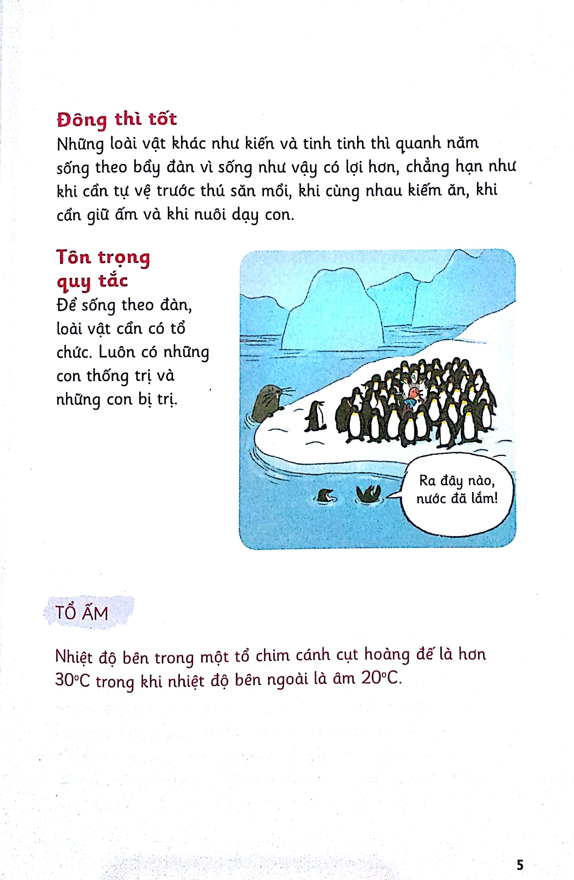 Những Bước Đi Nhỏ - Loài Vật