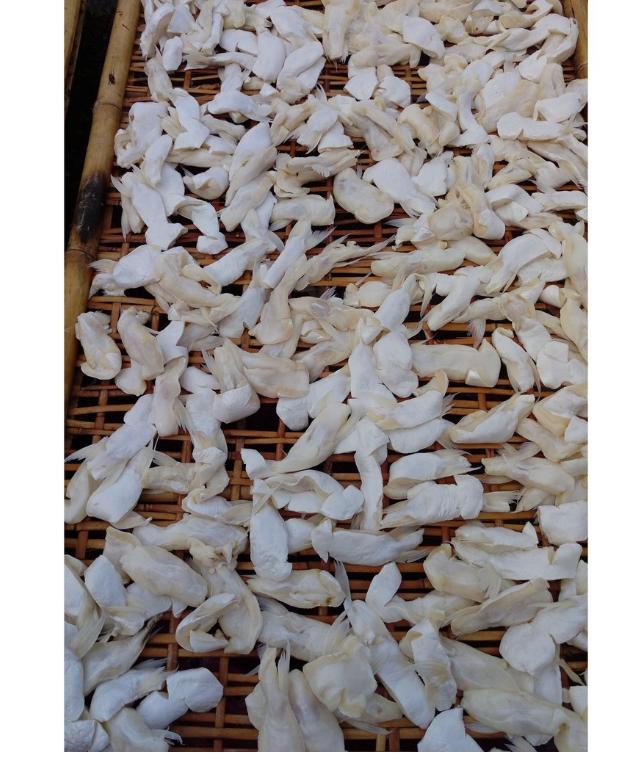 Mỡ bụng cá tra nhà làm,1kg