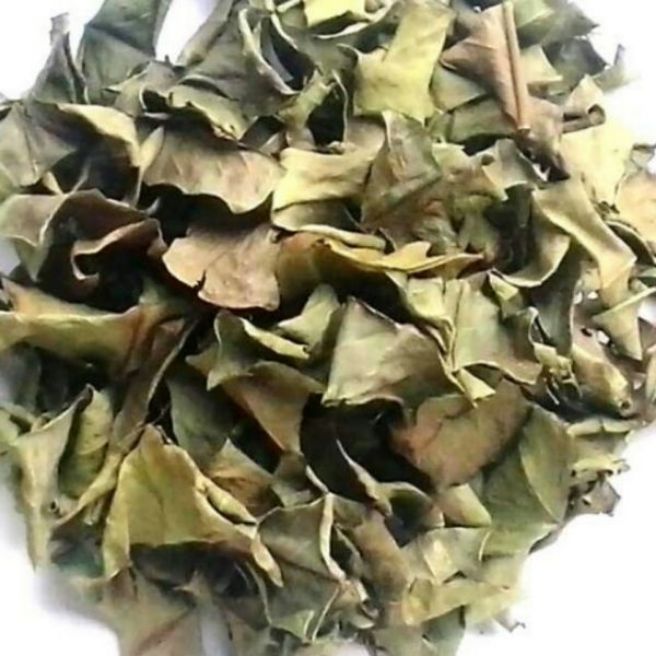 Sỉ toàn quốc 500g lá vối khô