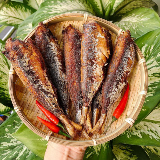 KHÔ CÁ NỤC BÉO KHÔNG ĐẦU