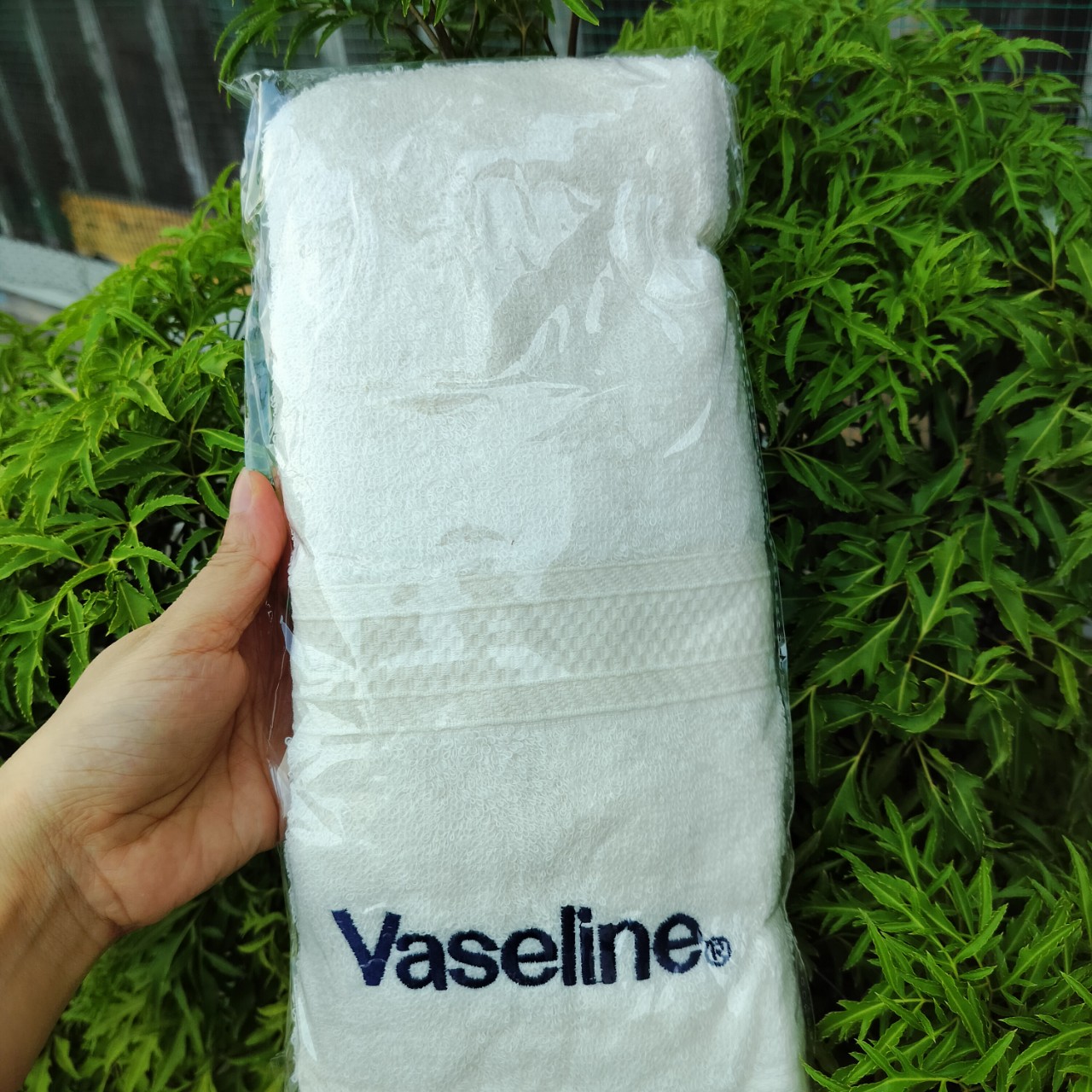 Khăn tắm Clear/Simple/Pond's kích thước 60cm x 120cm, cotton 100%
