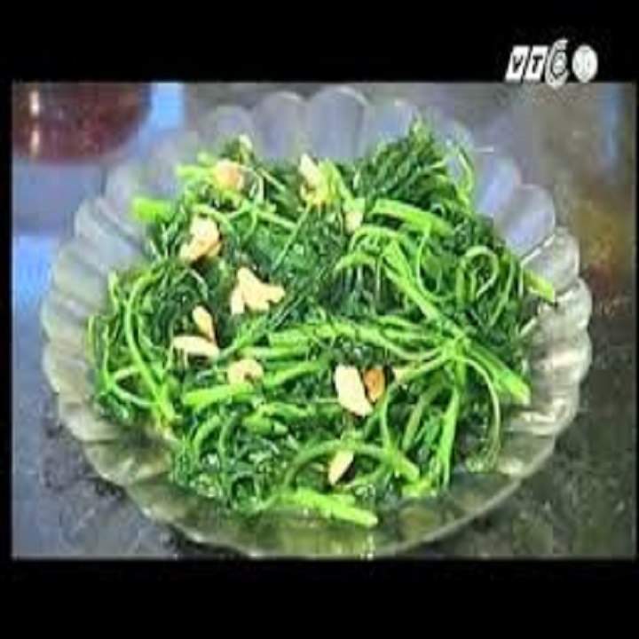 cây giống cây rau tầm bóp