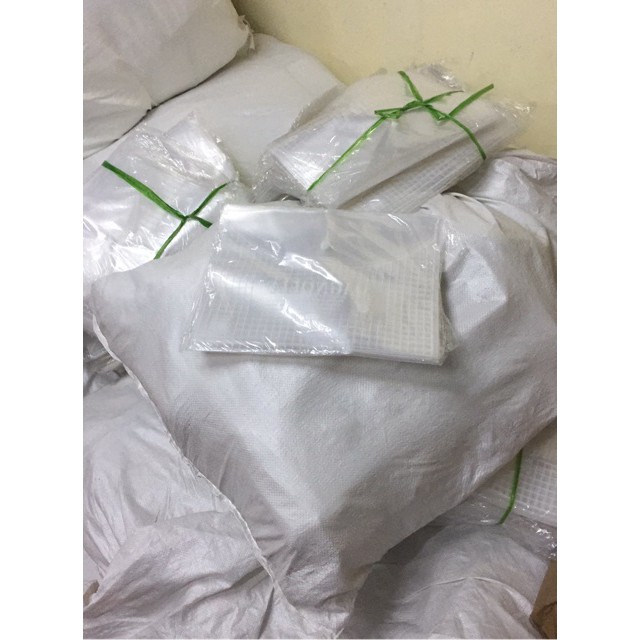 Combo Tập 20 túi đựng hồ sơ ATIGONE dày đẹp ( Khổ F )