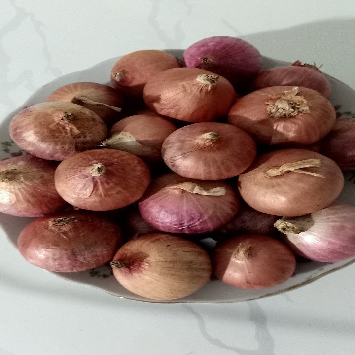 Củ Hành Tím đắk lắk 1kg