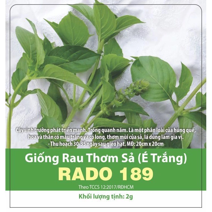 1g Hạt giống Rau Thơm Sả É Trắng _ Húng Trắng