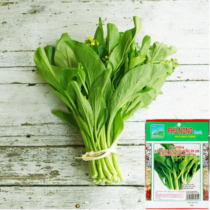 Hạt Giống Cải Ngồng (Cải Ngọt Ăn Bông) Phú Nông - Gói 20g - Tỉ lệ nảy mầm cao, sinh trưởng mạnh, kháng bệnh tốt VTNN Nông Điền Trang