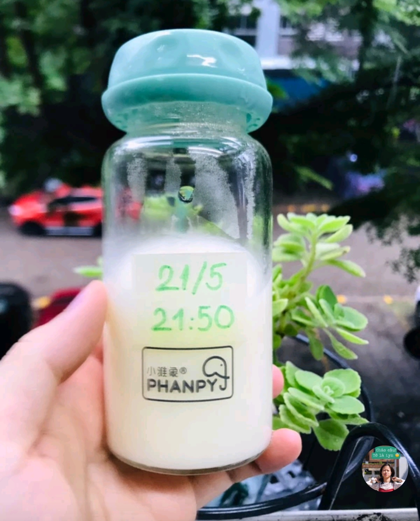 BÌNH TRỮ SỮA THUỶ TINH PHANPY 180ML, 150ML