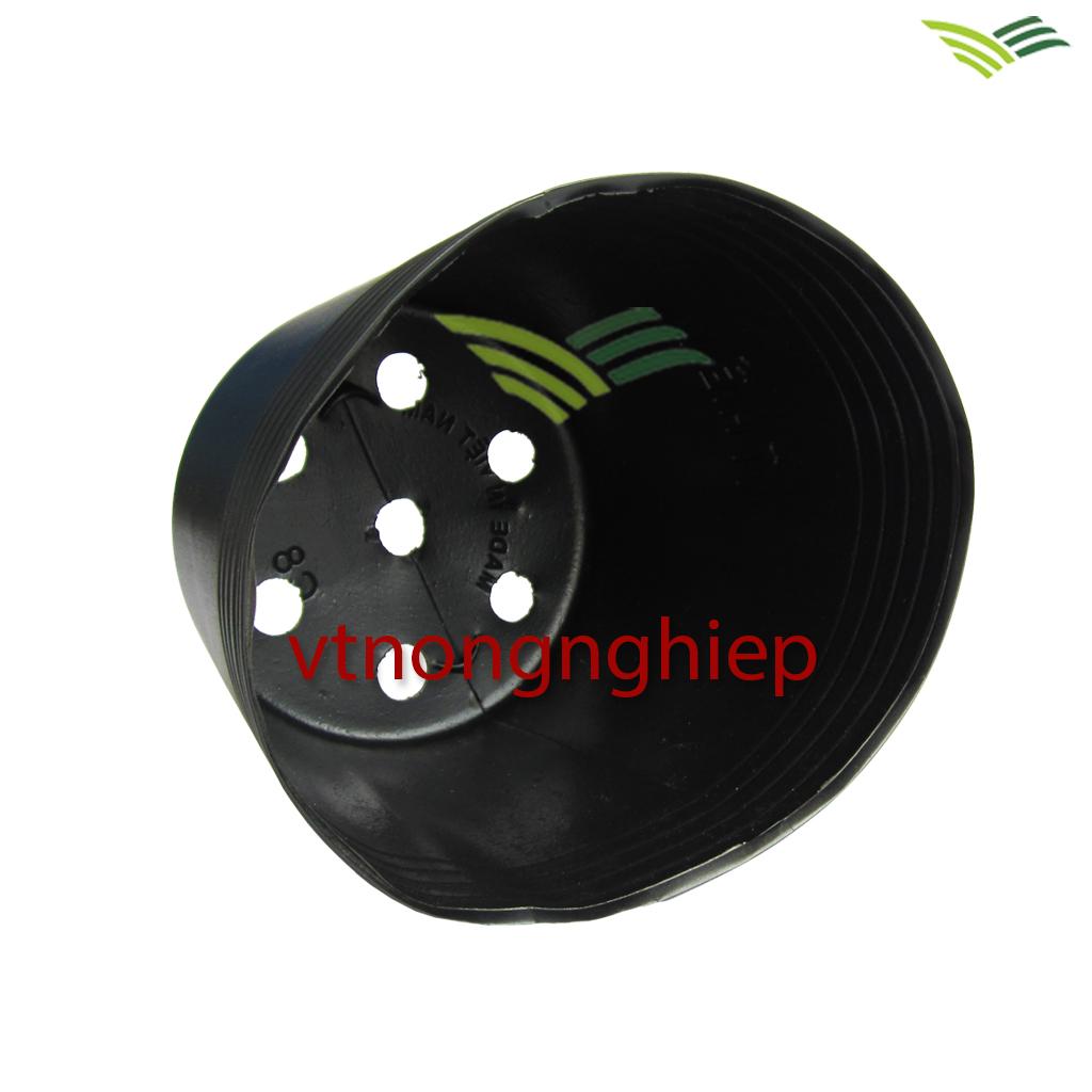 50 plastic basin C8 planting, CÂY18x14x15