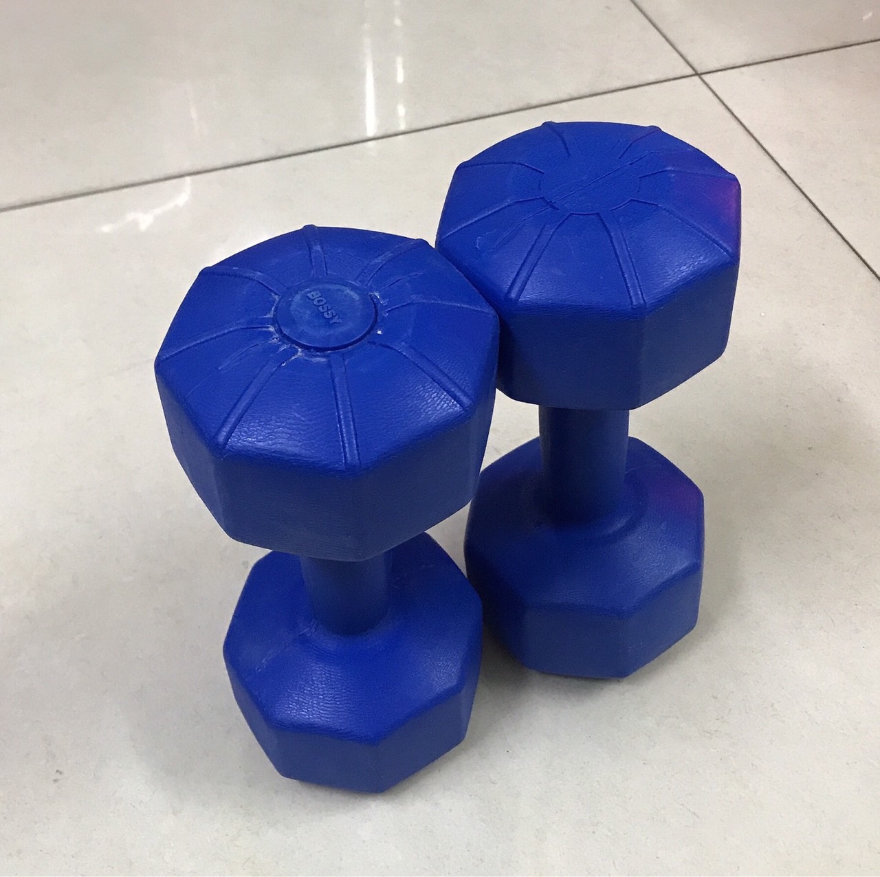 Bộ 2 vỏ tạ tay nhựa 2kg (chưa nhồi)