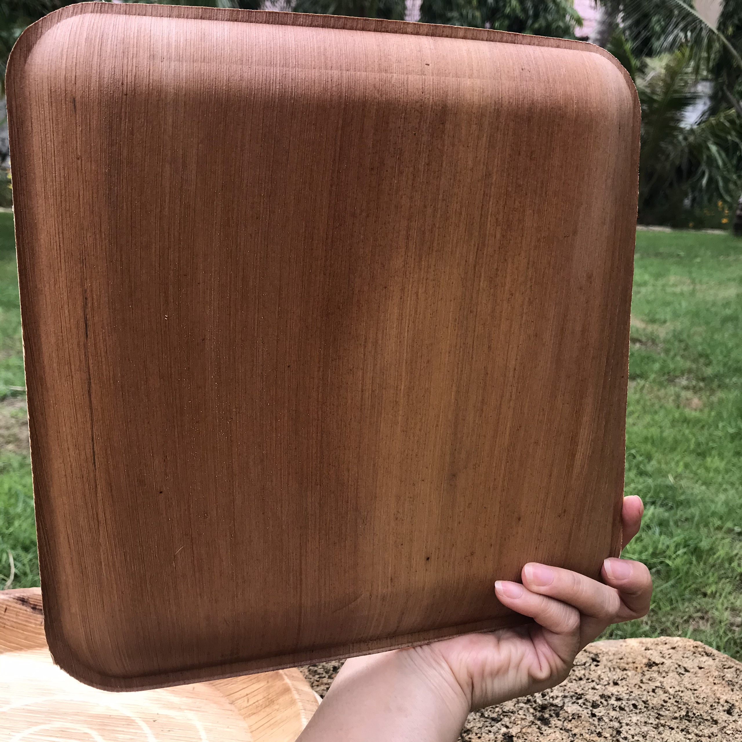 COMBO MINI : CHÉN DĨA MO CAU ĐẸP