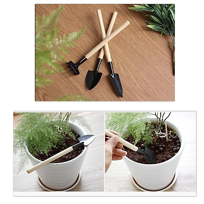 Bộ 3 Dụng Cụ Đào, Xới Đất Trồng Cây mini