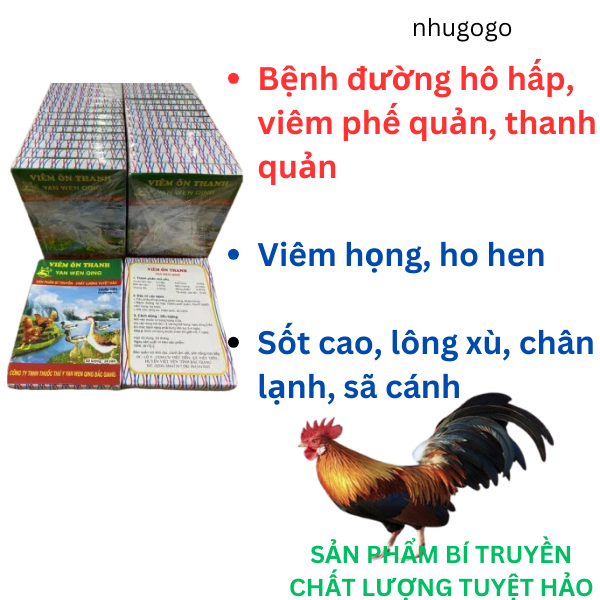 Viêm ôn thanh combo 25 vĩ* 24 viên gà khò