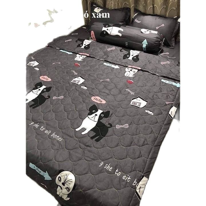Bộ Chăn Ga Poly Cotton 5 Món