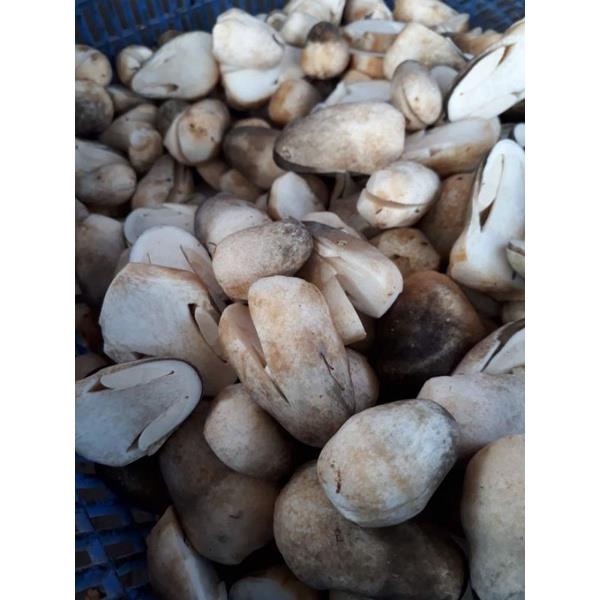 Nấm rơm sấy khô Lai Vung 500g