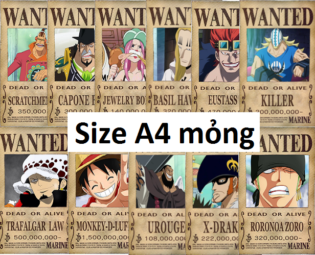 Bộ 11 tấm truy nã siêu tân tinh Onepiece wanted poster size A4 mỏng