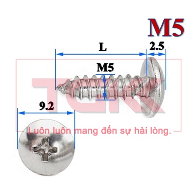 Vít bắt gỗ inox 201 chỏm cầu to M5 (Túi 10)