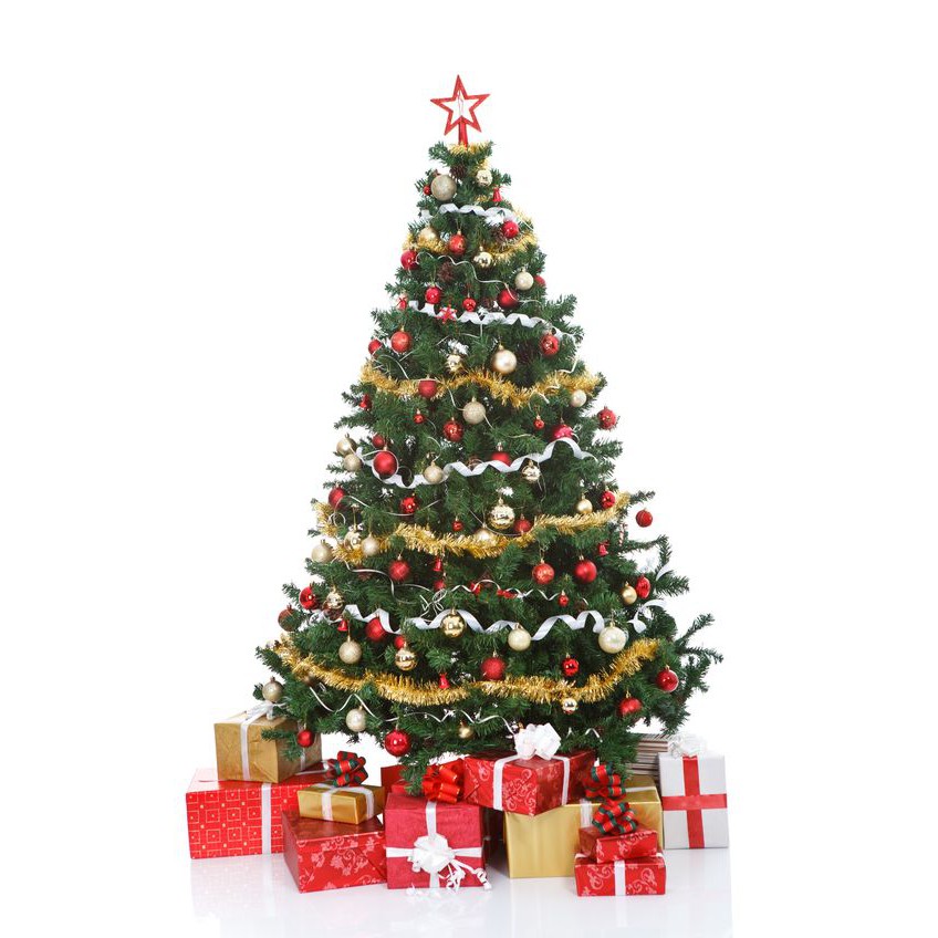 Combo cây thông noel 1m50 ( 145 phụ kiện)
