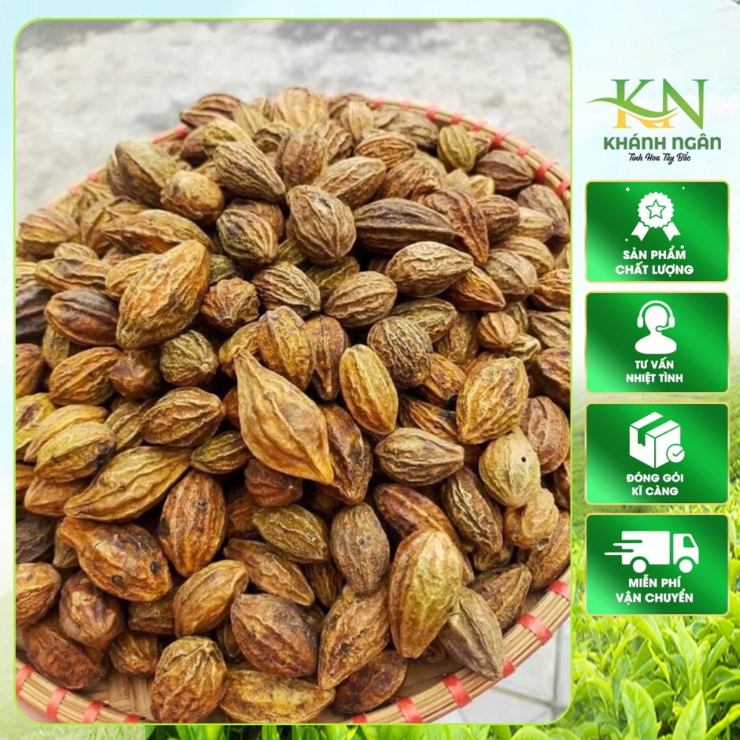 Quả Kha tử khô giúp ngừa ho , Hạt Kha tử rừng khô ngậm, ngâm mật ong giúp sạch phổi trị ho khản tiếng