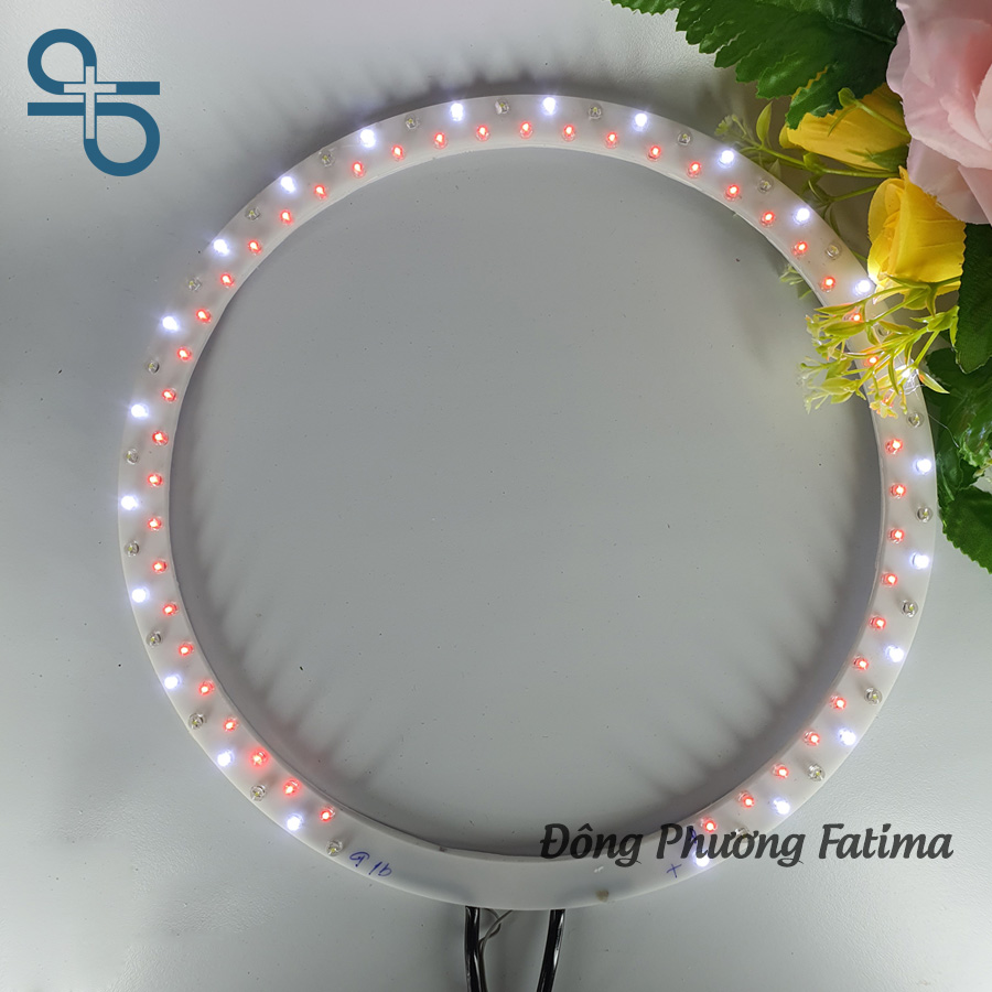Vòng Hào Quang Led Đôi 24cm