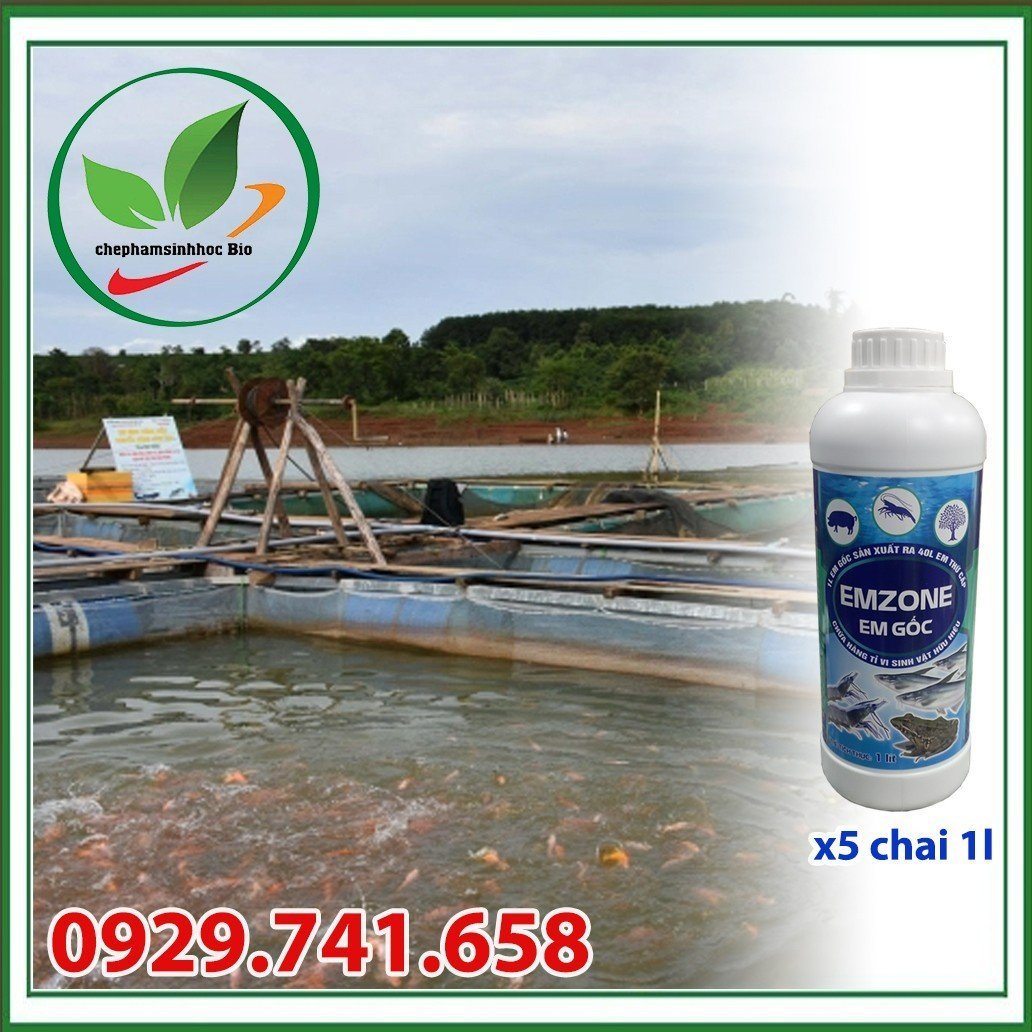 Chế phẩm sinh học EM gốc - Emzone. Can 5l