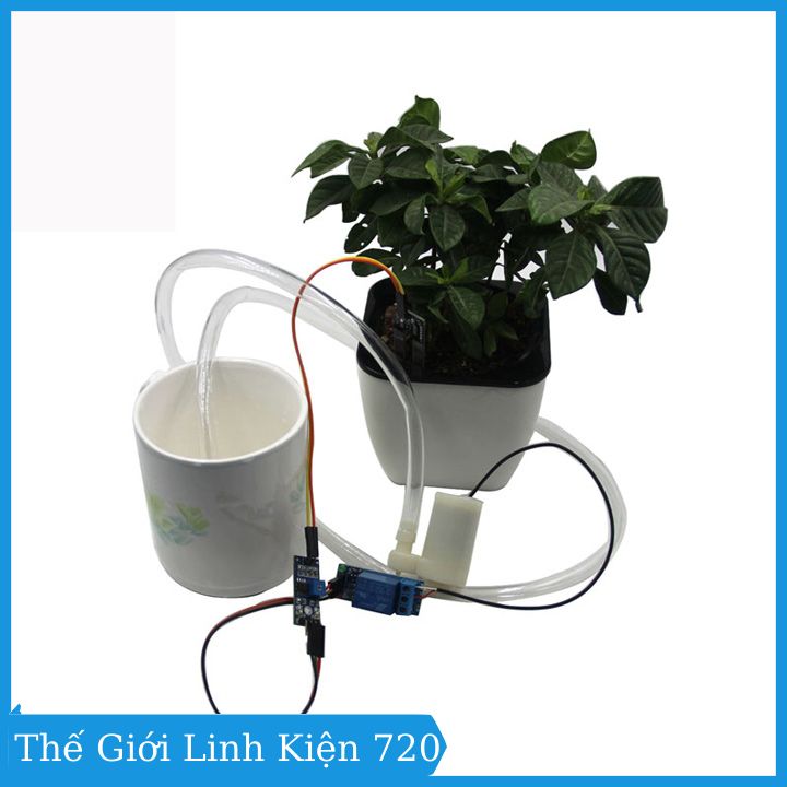 Bộ diy máy bơm tưới cây tự động