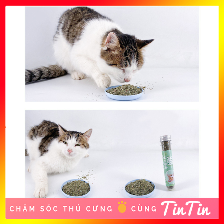Cỏ Mèo Bạc Hà Catnip Khô - Ống 50 gram