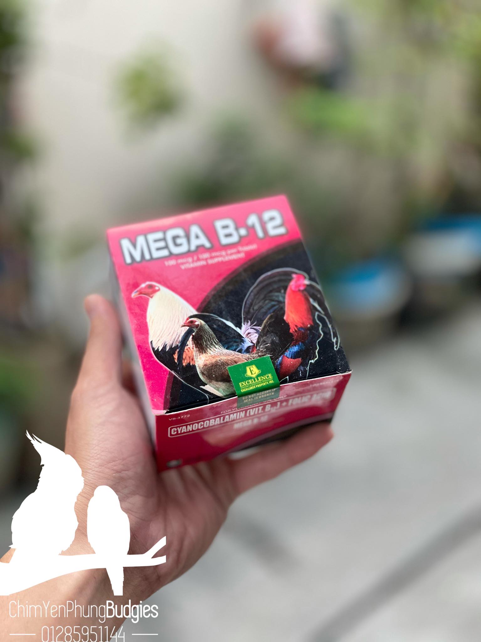 1 HỘP MEGA B12- thuôc bổ gà đá, giúp tăng lực, sung mãn. (10 vỉ)