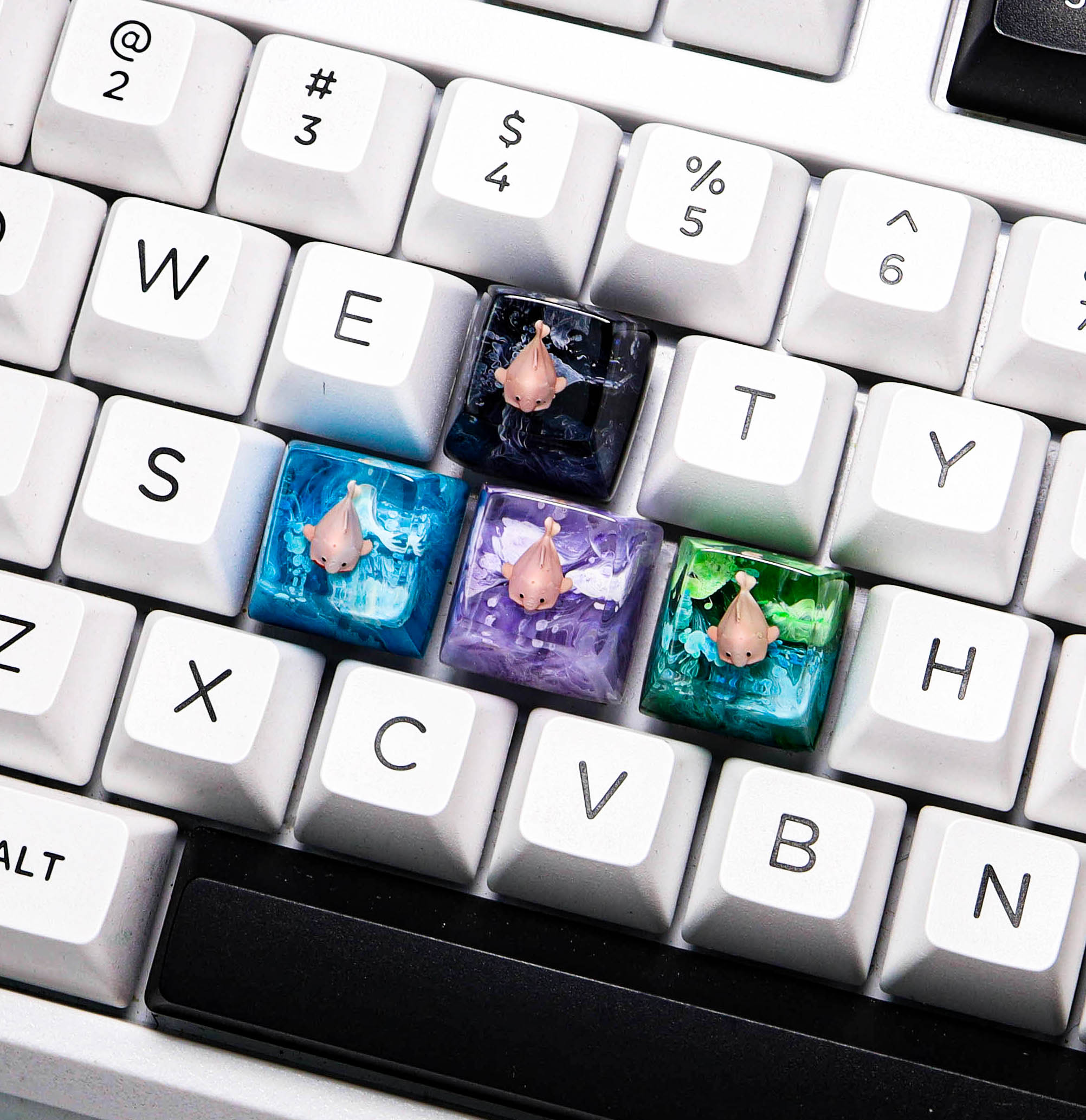 Keycap cá Blob, keycap cá xấu nhất thế giới, keycap lẻ