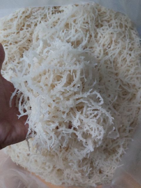 Rong Sụn Trắng 200g