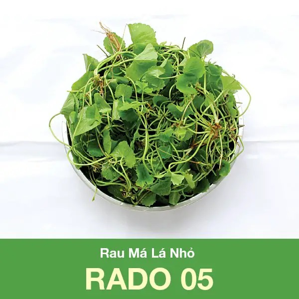 Hạt giống rau má lá nhỏ gói 1gram
