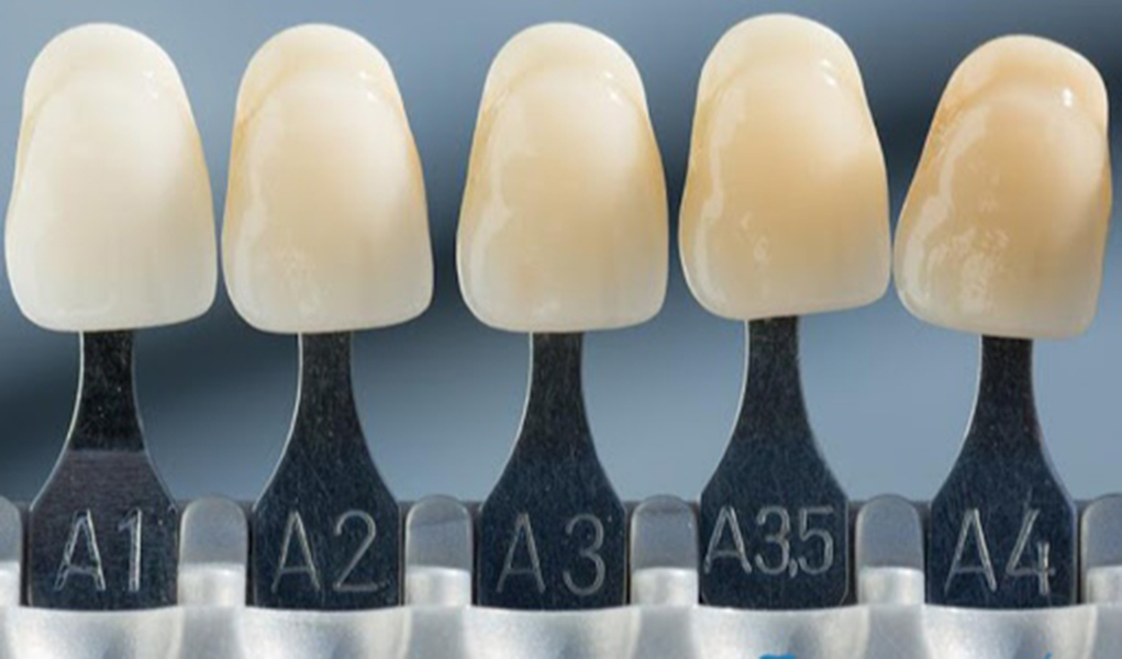 TRÁM RĂNG DENFIL HÀN QUỐC LOẠI ĐẶC (BHDN)