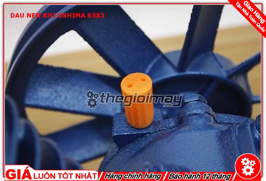 Đầu nén khí 65x2-1hp