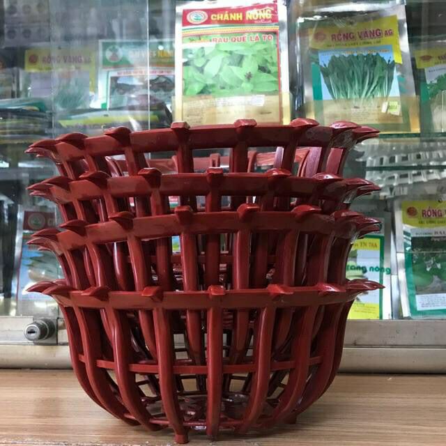 combo 5 chậu giả gỗ trồng lan phi 25 - chậu lan sen
