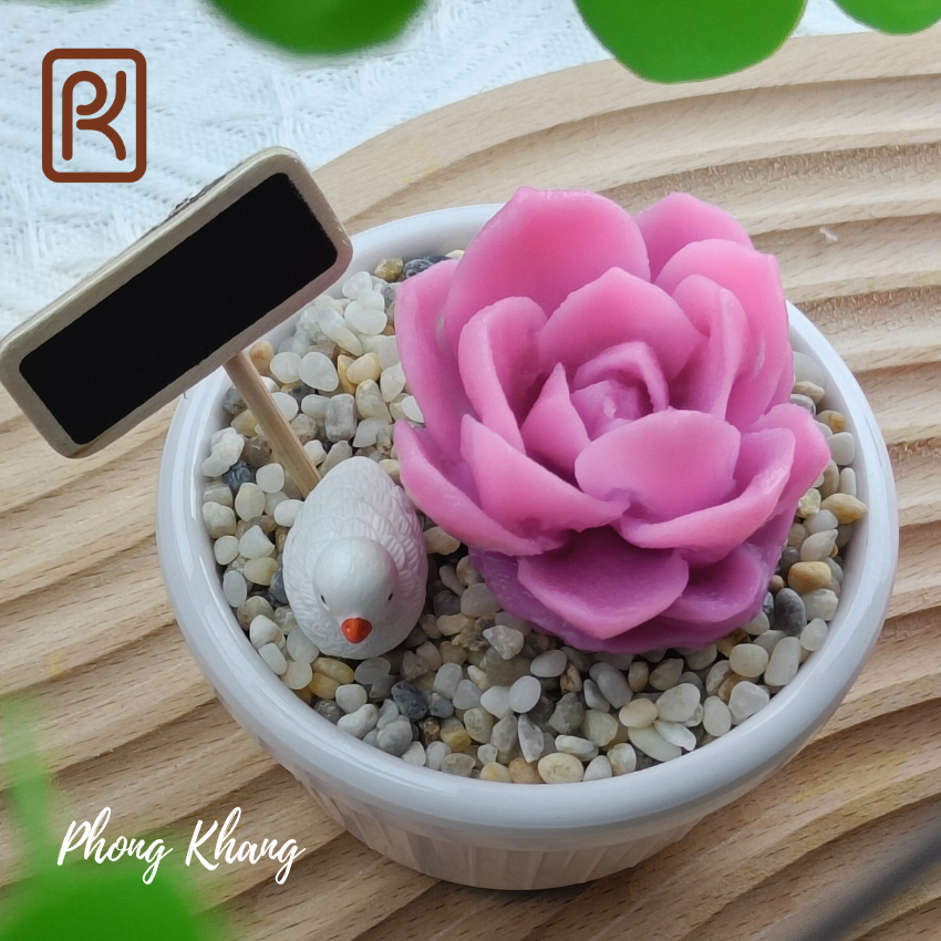 Khuôn silicon 4d Phong Khang làm rau câu sen đá