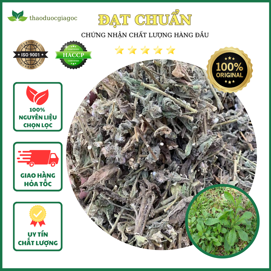 1kg cây cải trời khô phòng chống bướu cổ.