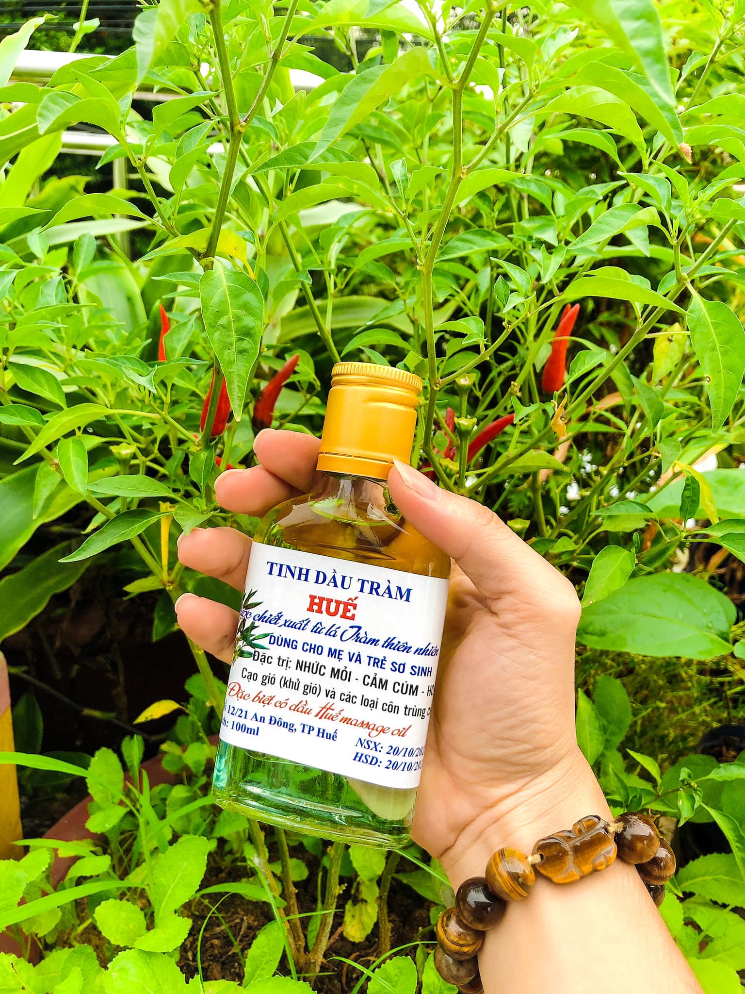 Tinh dầu tràm Huế nguyên chất 100 ml