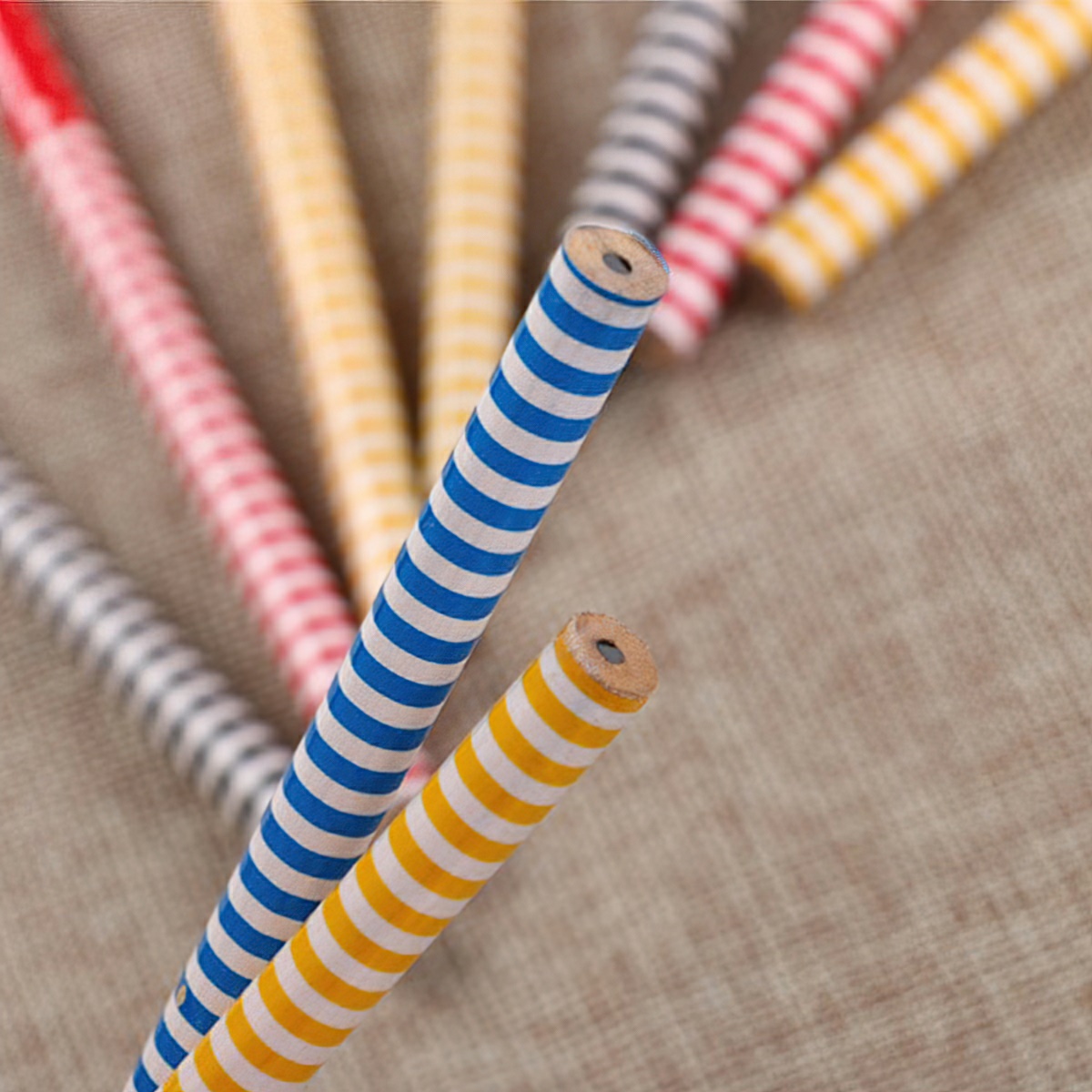 HB pencil with animal shaped eraser