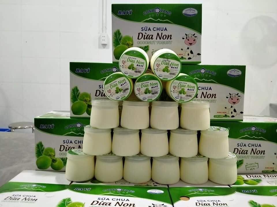 SỮA CHUA DỪA NON