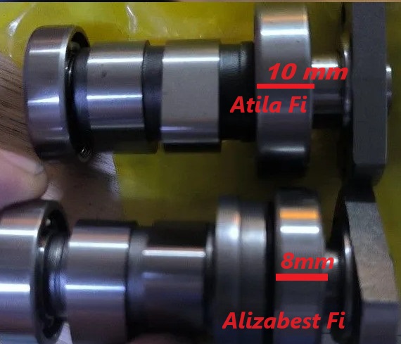 Cam cò Atila Fi/ Elizabeth Fi