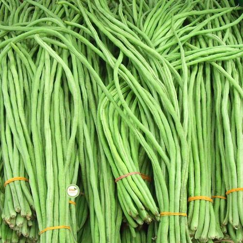 Hạt giống Đậu Đũa Xanh Cao Sản 20gr/gói