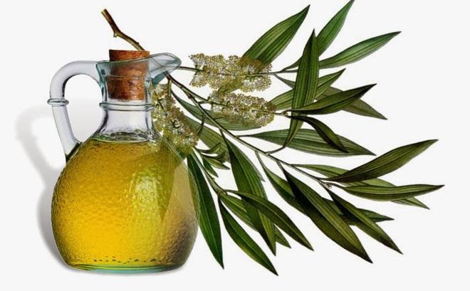 Dầu khuynh Diệp Eucalyptus Oil 30ml - MỸ